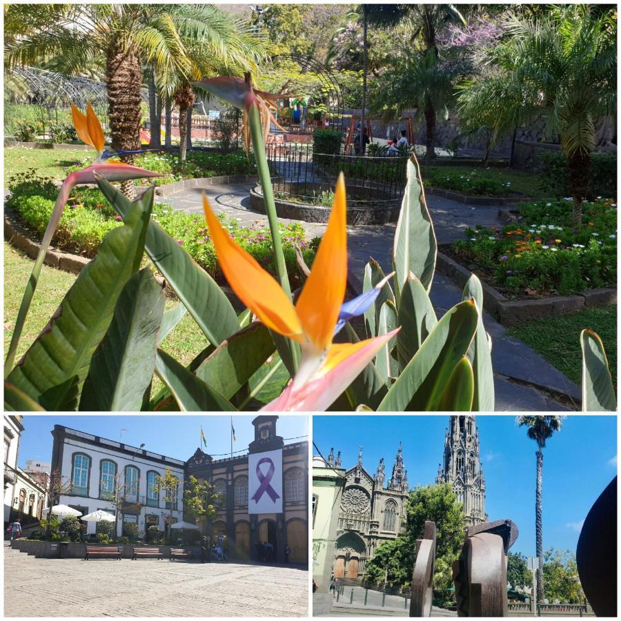 Casa Isabel Centro Historico Villa Arucas Exteriör bild